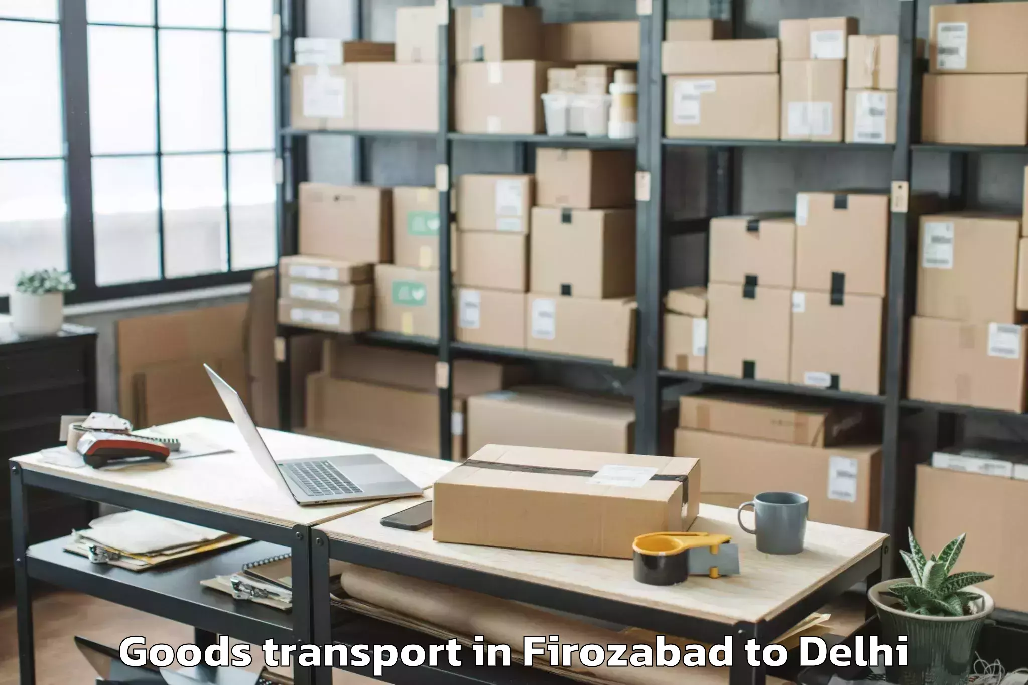 Discover Firozabad to Preet Vihar Goods Transport